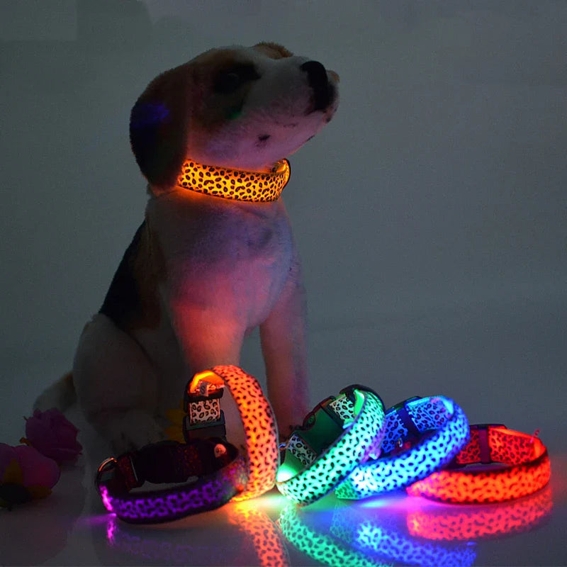 Lebord light up collar for pets!