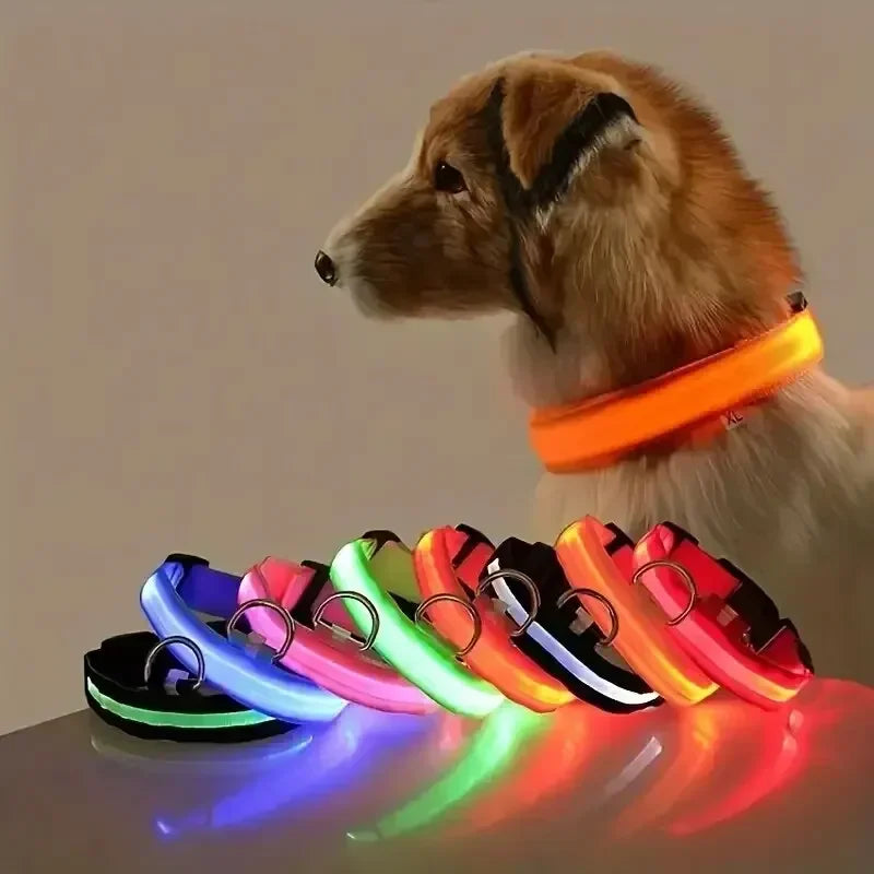 Light up collars