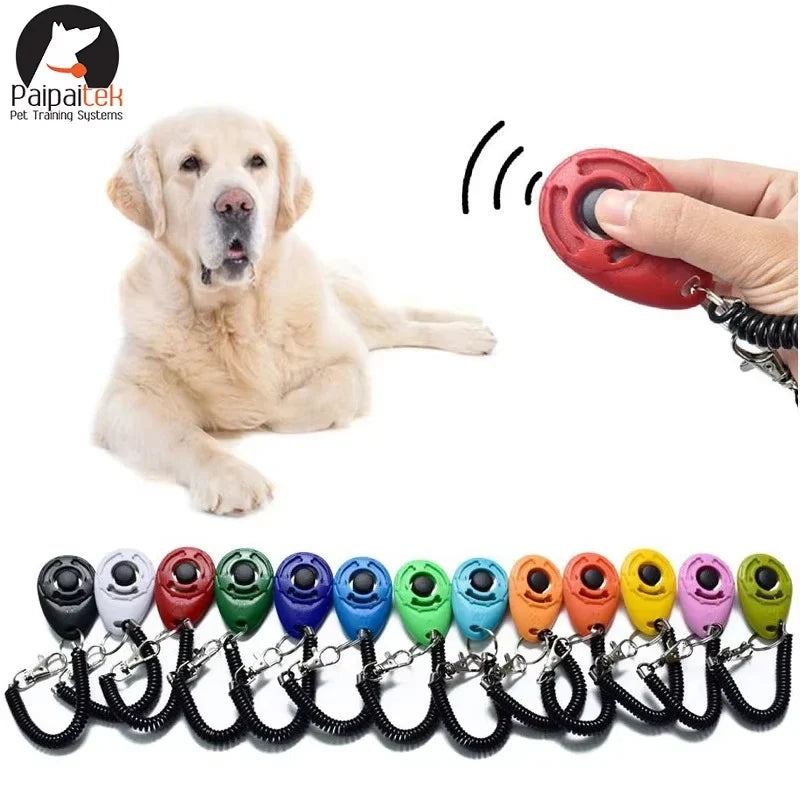 Dog training clicker.
