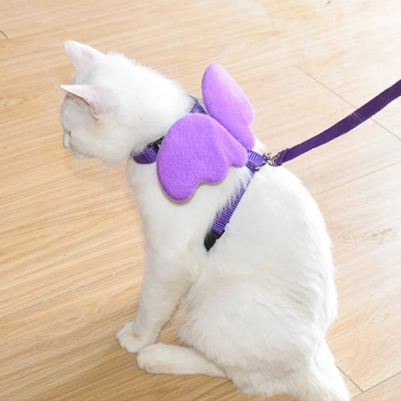 Cute angle wings pet harness for dogs and cats.