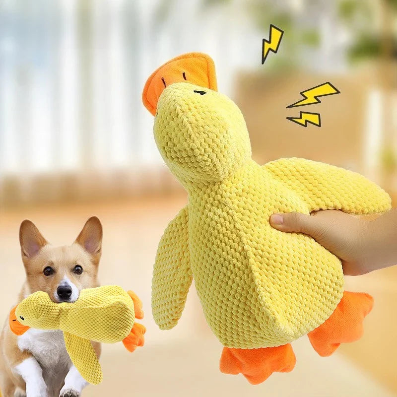 Duck plushy for pets.