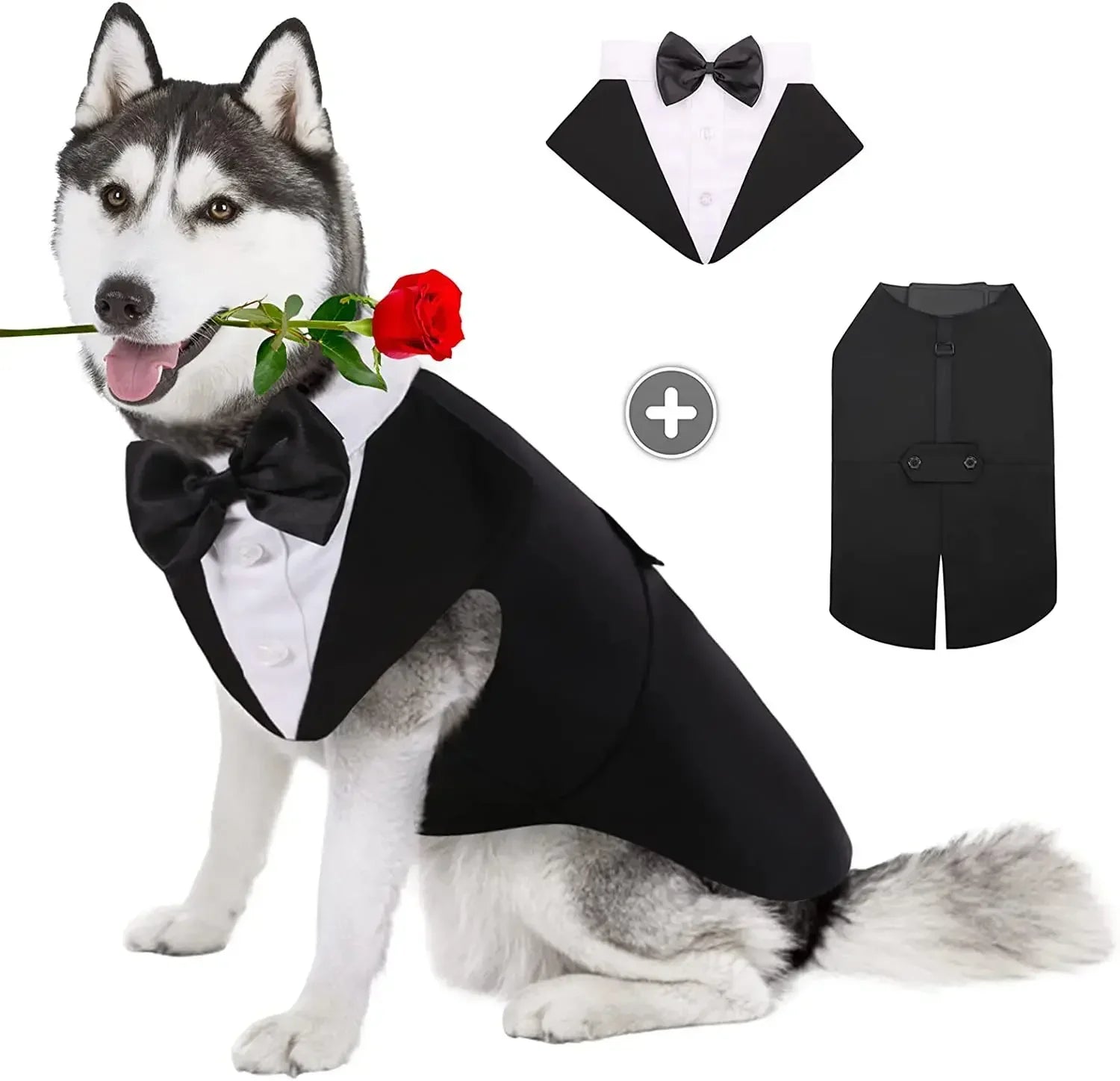 Cute suit for dogs.