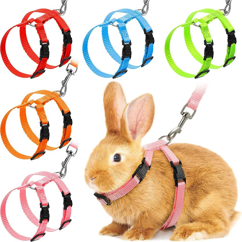Rabbit harness.