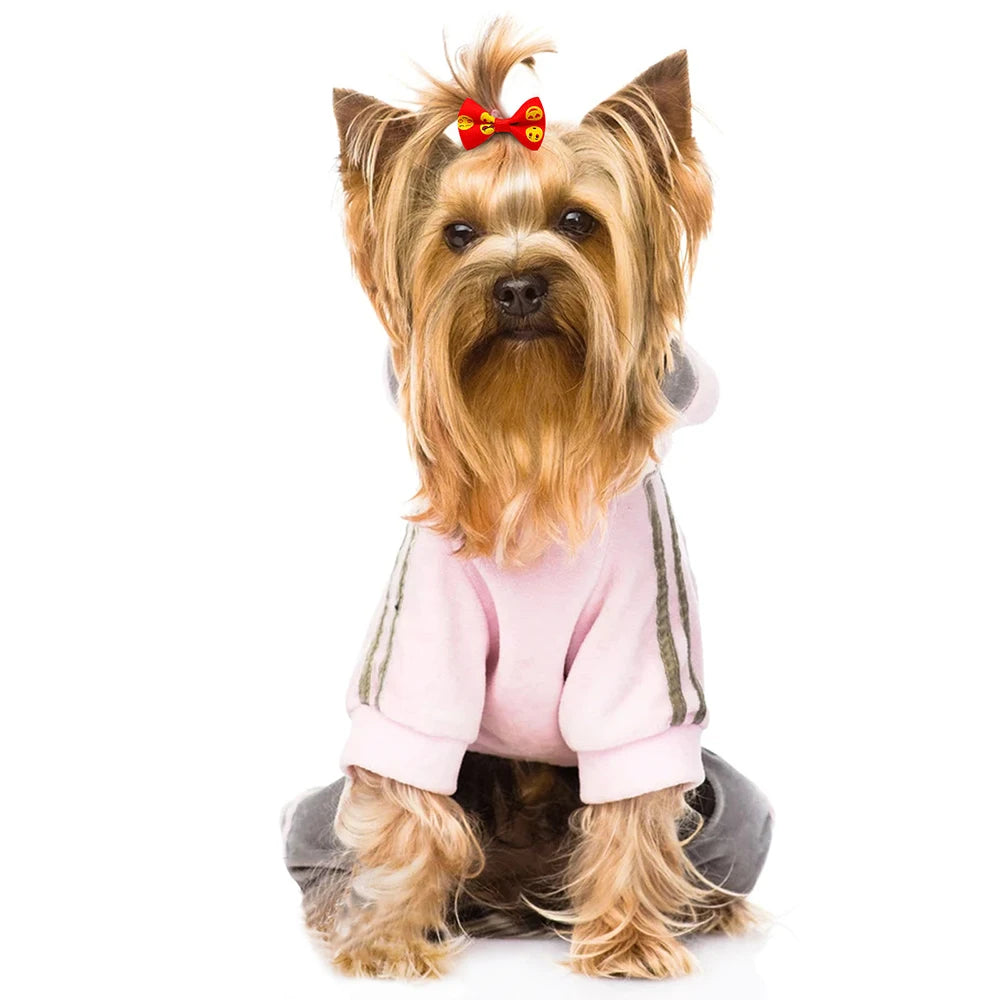 10/20pcs Dog Grooming Bows Mix Colours Cat Dog Hair Bows for Small Dog Grooming Pet Hair Accessories Rubber Bands Pet Supplies