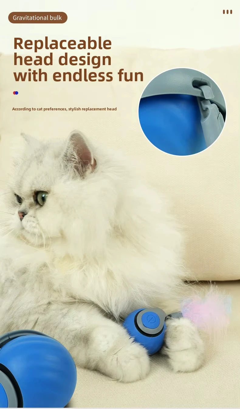 NewSpeedy Tail 2.0 Cat Toy, Speedy Tail Cat Toy, Interactive Cat Ball Toy, Smart Cat Toys Ball, Two Speed Adjustment, with Tail 