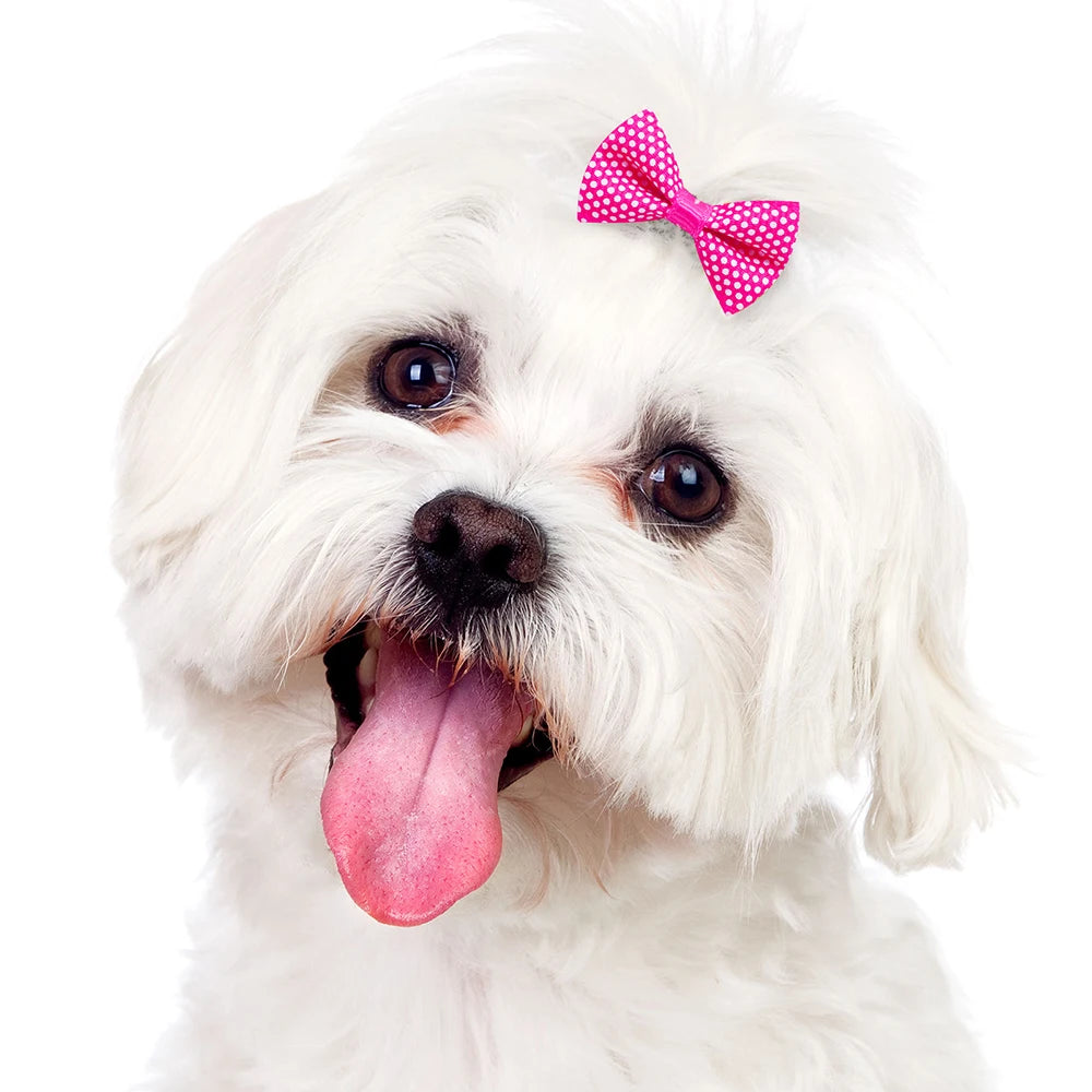 10/20pcs Dog Grooming Bows Mix Colours Cat Dog Hair Bows for Small Dog Grooming Pet Hair Accessories Rubber Bands Pet Supplies