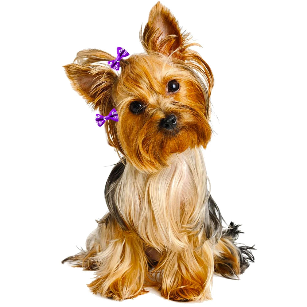 10/20pcs Dog Grooming Bows Mix Colours Cat Dog Hair Bows for Small Dog Grooming Pet Hair Accessories Rubber Bands Pet Supplies
