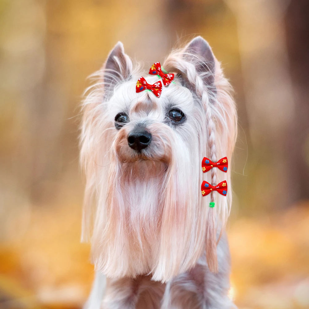 10/20pcs Dog Grooming Bows Mix Colours Cat Dog Hair Bows for Small Dog Grooming Pet Hair Accessories Rubber Bands Pet Supplies